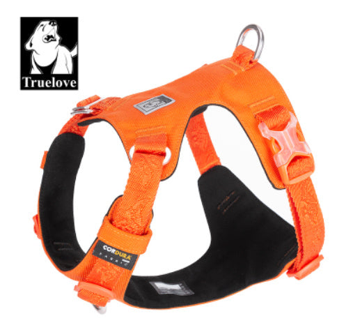 Explosion-proof dog harness for walking the dog